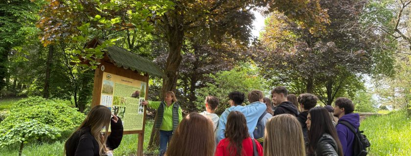 Exkurzia – Arborétum Borová hora