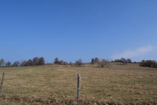 DSC 0305