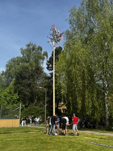 IMG 2603